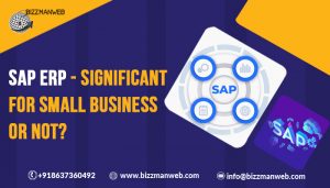 SAP ERP- Significant for small business or not?