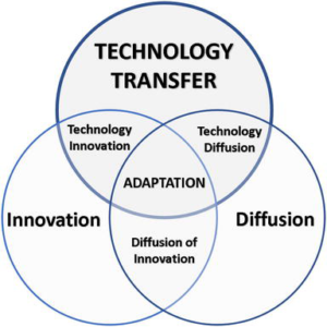 technology innovation in digital transformation